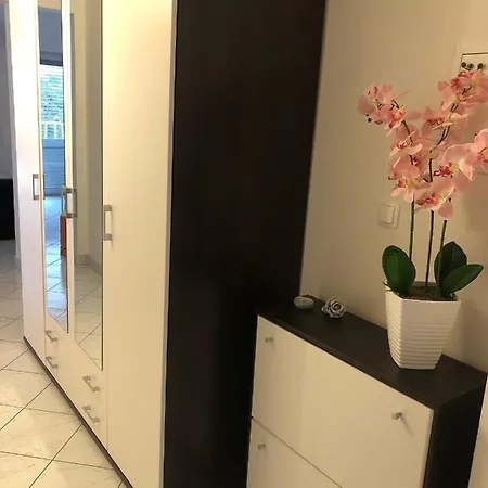 Dani -