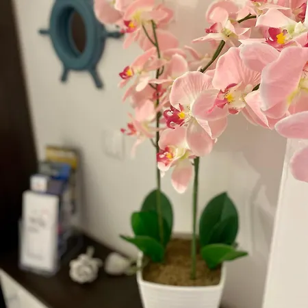 Dani - Appartement Sutivan