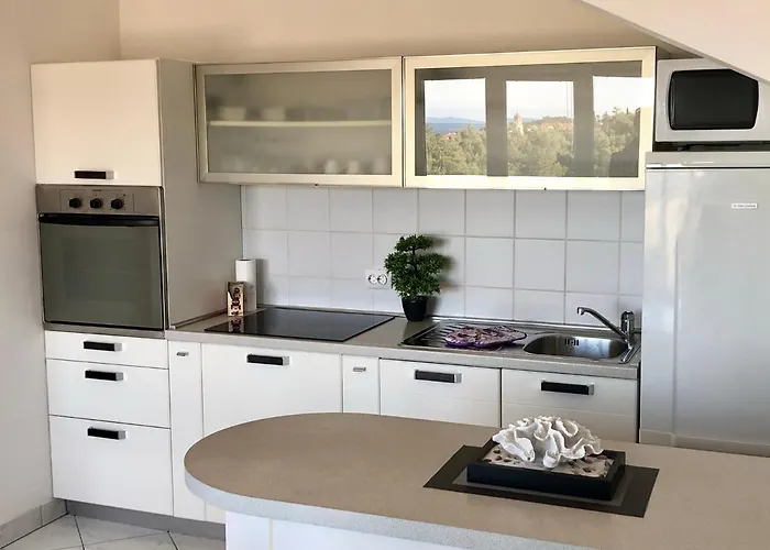 Dani - * سوتيفان