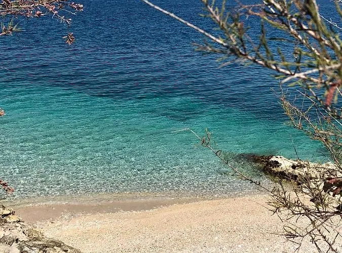 Dani - * سوتيفان