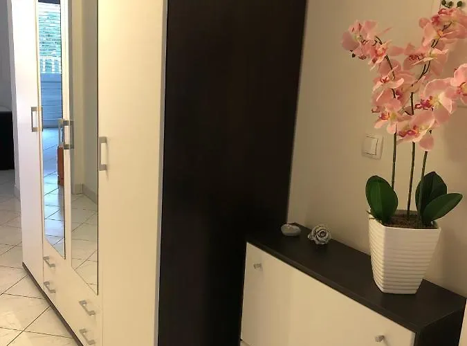 Dani -